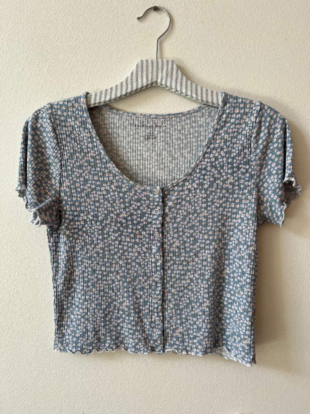 American Eagle Floral Front Button Crop Top